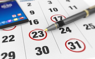 how many working days are there