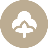 Cotton trading instrument