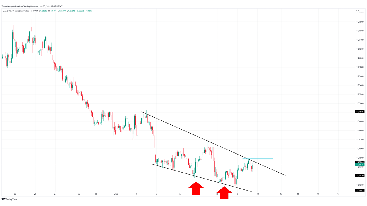 признак угасания медвежьего настроения